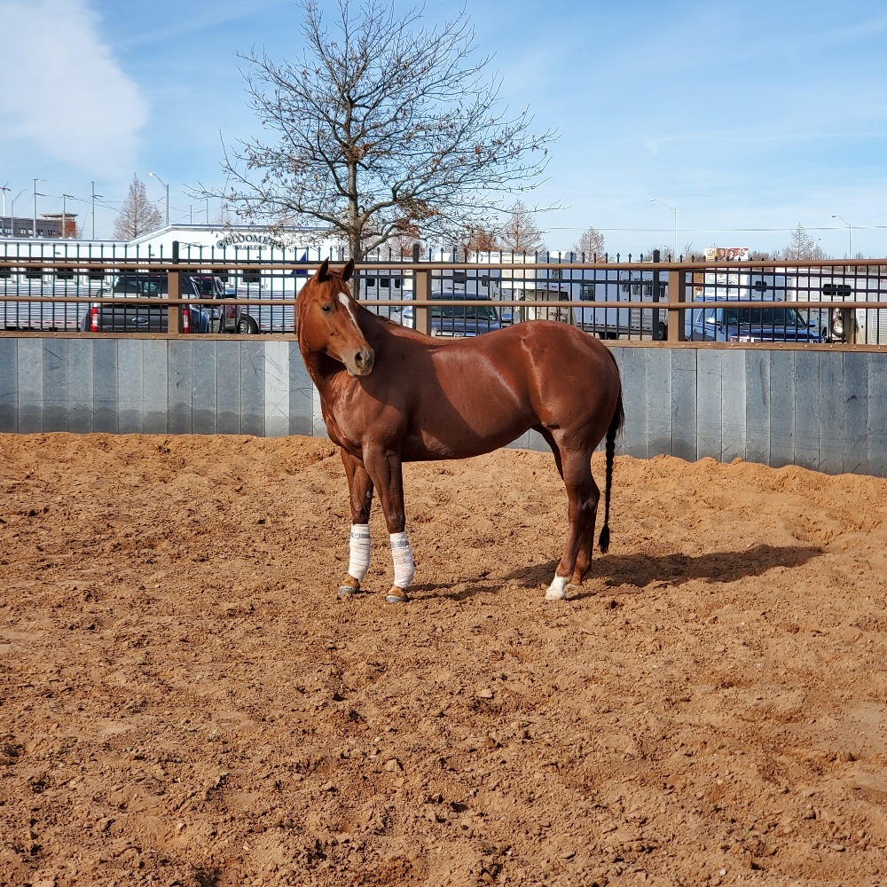 Meet your Posher, Melanie